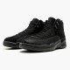 Nike Jordan 12 Retro OVO Black 873864-032 Joggesko