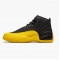 Nike Jordan 12 Retro University Gold 130690-070 Joggesko