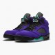 Nike Jordan 5 Retro Alternate Grape 136027-500 Joggesko