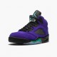 Nike Jordan 5 Retro Alternate Grape 136027-500 Joggesko