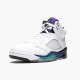 Nike Jordan 5 Retro Grape 136027-108 Joggesko