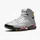 Nike Jordan 7 Retro Reflections of A Champion BV6281-006 Joggesko