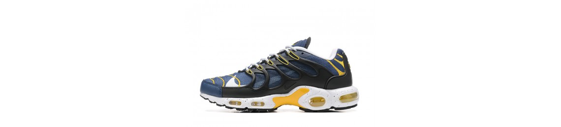 Nike Air Max Terrascape Plus Sko Salg