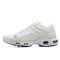 Herre Air Max Terrascape Plus Hvit Svart DQ3977-100 Joggesko