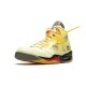 Nike Jordan 5 Sail DH8565 100 Menn Dame